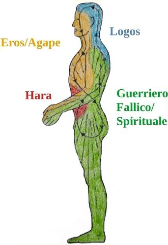 Master in Psicoterapia Organismica – 1
